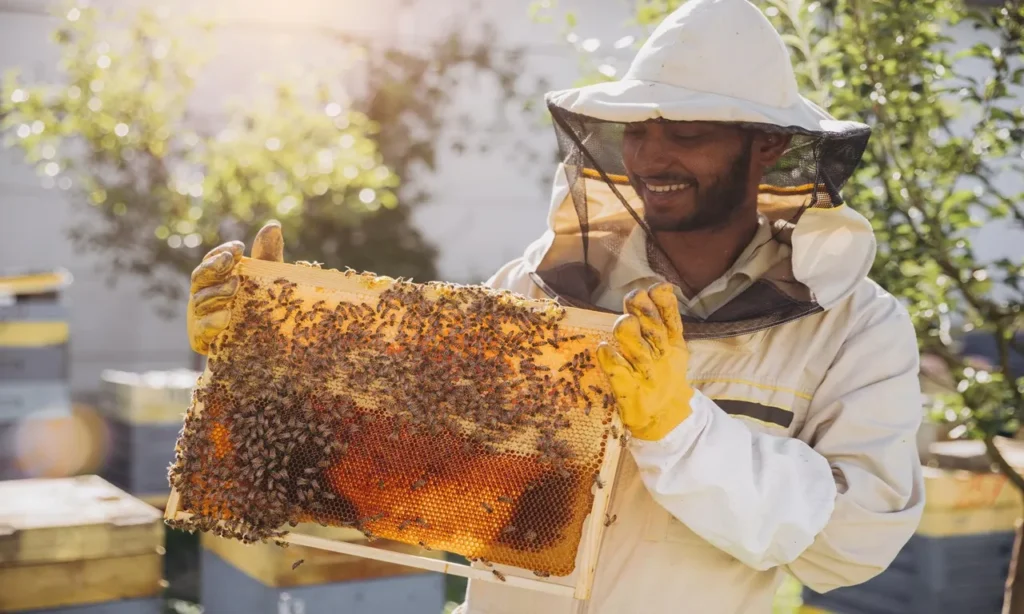 Beekeeping insurance policies protecting bee colonies, apiaries, honey production, equipment, and agricultural businesses from financial risks.
