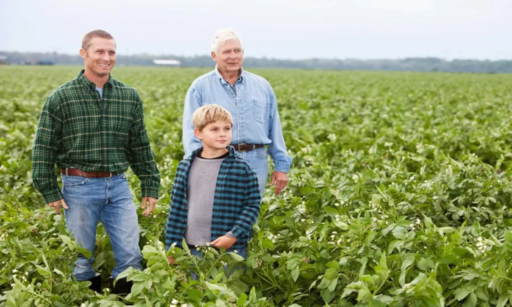 Crop insurance policies for farmers protecting crops from weather, disasters, and financial losses.